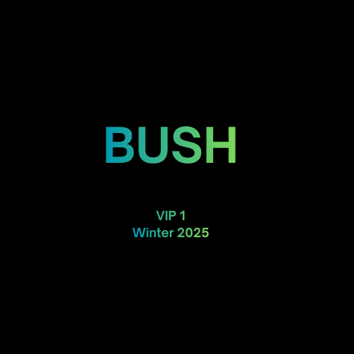 Bush 2025 Tour VIP1 Bundle