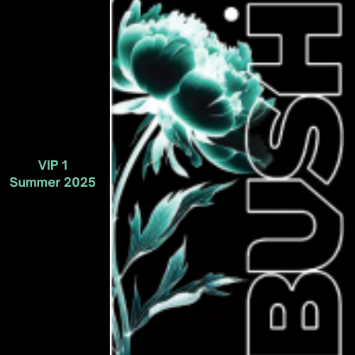 Bush 2025 Tour VIP1 Bundle
