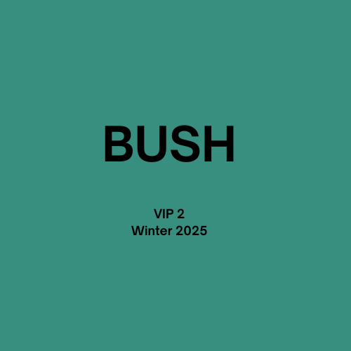 Bush 2025 Tour VIP2 Bundle