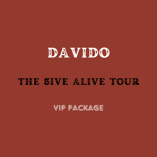 Davido 2025 US Tour VIP Bundle